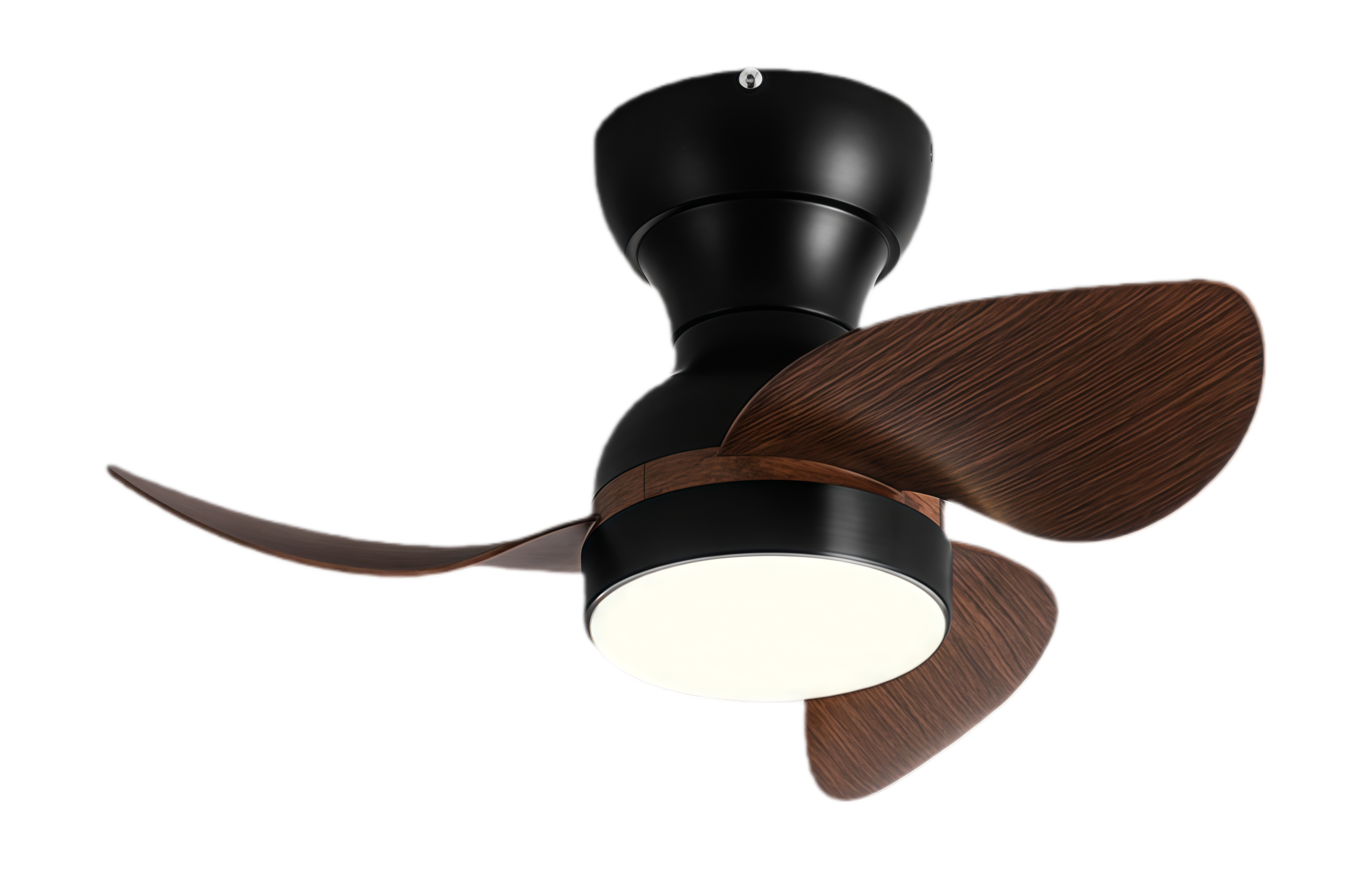 ลายไม้ Black Walnut