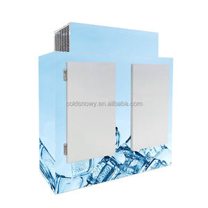 Congelador de almacenamiento de hielo más vendido/contenedor refrigerado de hielo contenedor de almacenamiento de hielo merchandiser nevera al <span class=keywords><strong>aire</strong></span> libre - Product Image 2