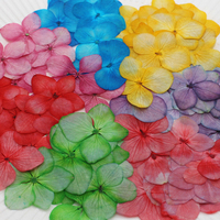 Fiori di Ortensia Essiccati e Pressati per Arte in Resina, Fai da Te, Decorazioni per Matrimoni, Segnalibri, Gioielli, Cartoline e Decorazioni per Cover di Telefoni