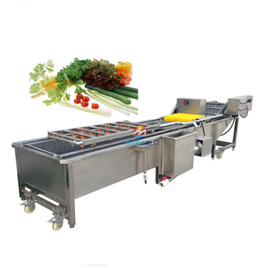 Nettoyant électrique pour machine à laver les olives et pommes avec moteur de brosse pour fruits et légumes frais comme composant principal - Product Image 3