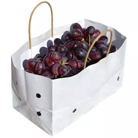 Sacs en papier carrés avec poignée pour raisins frais