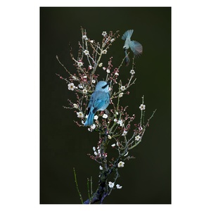 Lienzo Decorativo con Impresión Animal Realista Digital en Cristal, Arte de Pared para Decoración del Hogar con Característica Impermeable - Product Image 1