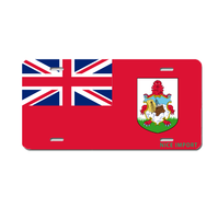 Plaques d'immatriculation personnalisées avec drapeau des Bahamas, plaque d'immatriculation nationale personnalisée, souvenir de pays, cadeau, plaque décorative