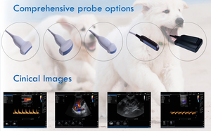 Veteriner Ultrason Probu Rektal 128 Elementli Renkli <span class=keywords><strong>Doppler</strong></span> Veteriner Ultrason Renkli Veteriner Ultrasonu - Product Image 3