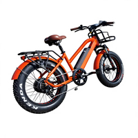 Vélo électrique pour enfants de 20 pouces avec pneus larges, moteur Bafang 750W, batterie au lithium 48V, frein mécanique sur fourche avant, écran LCD, 7 vitesses, vente en gros