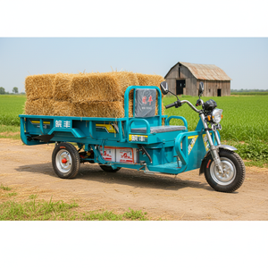 Wanfeng Best Verkopende 1500W Elektrische Vracht Driewieler 1.9M Terug Pullout Eec Gecertificeerde Driewielige Open Carrosserie 400Kg Laadvermogen 70-90Km - Product Image 1