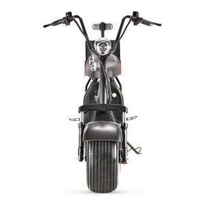 Scooter électrique pour adultes Loyal Australia Market, modèle Citycoco, 2 roues, double siège, pour parcours de golf, chariot de golf - Product Image 6