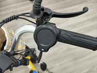 Scooter de mobilité pour adultes pour personnes âgées tricycles électriques pliants au lithium à prix d'usine