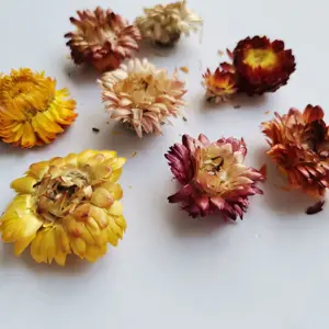 Best Quality Herbal Colorful Chrysanthemum Tea/Helichrysum Bracteatum Dried Straw Flower Tea, Flavor tea