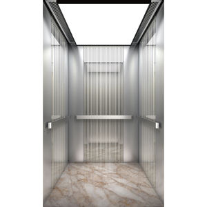 <span class=keywords><strong>Ascensor</strong></span> Hidráulico LNSANY para Viviendas Existentes, Instalación sin <span class=keywords><strong>Foso</strong></span>, <span class=keywords><strong>Foso</strong></span> Poco Profundo, Elevador MRL con Accionamiento AC, Piso de PVC, 320 kg, 2-3 Pisos - Product Image 1