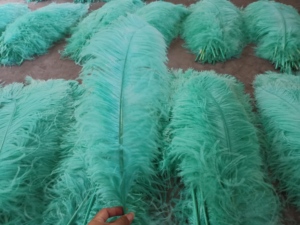 Chất Lượng Tuyệt Vời Trang Trí Đám Cưới Lớn Plumas Đà Điểu Lông Trắng Đà Điểu Lông Lớn Lông - Product Image 2
