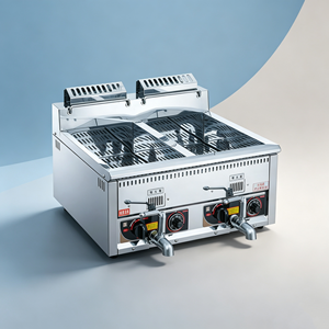 Friteuse industrielle à gaz double cuve 12L+12L pour frites, design relevable, pour comptoir, conforme aux normes alimentaires commerciales - Product Image 6