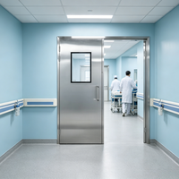 Porte de chambre d'hôpital en acier inoxydable, hygiénique, antibactérienne, résistante aux chocs, ignifuge, pour clinique médicale, laboratoire