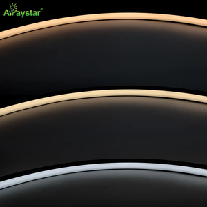 IP67 Silicone Đen Neon dải ánh sáng <span class=keywords><strong>Led</strong></span> dây dải ánh sáng 13*13 mét DC24V Top uốn cong <span class=keywords><strong>Led</strong></span> Neon <span class=keywords><strong>Flex</strong></span> - Product Image 1