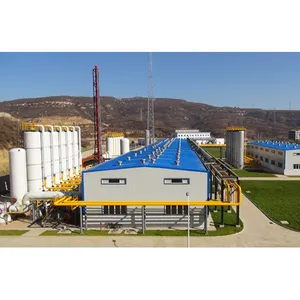 Hot Seller Methane Separation Facility 750Kw Long Lifespan Psa Biogas Generators for Home