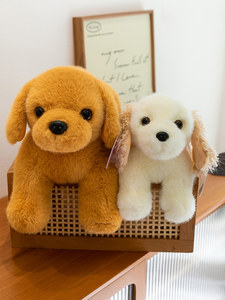 Juguete de Peluche de Perro Golden Retriever o <span class=keywords><strong>Cocker</strong></span> <span class=keywords><strong>Spaniel</strong></span> Realista, Directo de Fábrica, Relleno de Algodón PP, Súper Suave, Personalizado, Venta al Por Mayor - Product Image 1