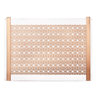 Plateau de service en acrylique, plateau en plexiglas haut de gamme avec filigranes en laiton brillant et poignées métalliques, plateau à café et à collations en lucite pour table