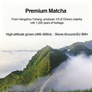 Boîte Cadeau Personnalisée en Gros, Poudre de Matcha Qualité Barista 100% Naturelle pour Salons de Smoothies & Hôtels, Emballage Personnalisé Disponible - Product Image 4