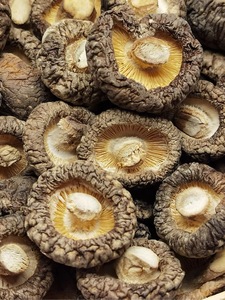 Hongos Altamente Nutritivos 2020, Crudos, Sin Aditivos, Frescos, Secos, para Almacenamiento, Certificación GAP, Color Natural, para Cocinar, Saborizantes, 1 kg, 36 Meses de Caducidad, China, Yunnan - Product Image 2