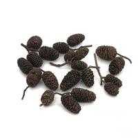 Gousses de Casuarina Naturelles PKY pour Aquarium, Bassin à Poissons Betta, Bassin à Crevettes et Aménagement Aquatique