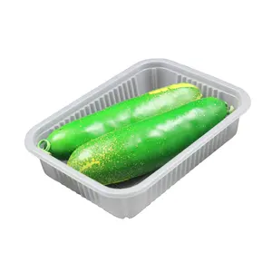 Hot Selling Fruits Vegetables Tray PP Plastic Food Containers For Home Supermarket