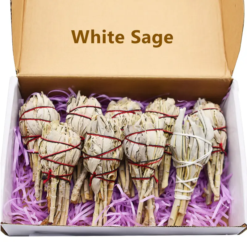 chinaherbs Wholesale Chicken leg shape White Sage smudge Stick Used For Purifying & Incense