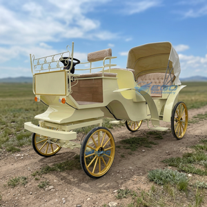 Carroza de Paseo a Caballo sin Motor, Nueva, Amarilla, Duradera, Fácil de Operar, para Bodas y Paseos por Parques, Venta al Por Mayor - Product Image 1