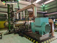Volledig geautomatiseerde palmolieverwerkingsinstallatie voor Indonesië en Maleisië, palmolieproductielijn, maatwerk service beschikbaar in China