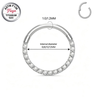 ASTM F136 Titanlegierung Bunter Zirkon Nasenring Implantatqualität G23 Septum CZ Ohr Daith Helix Ringe Körperschmuck