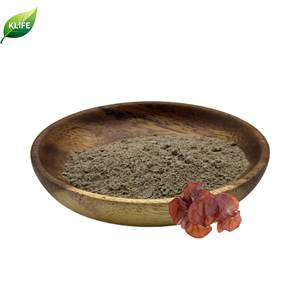 KLIFE-Extrait d'Auricularia Auricula, poudre d'extrait de champignon noir - Product Image 2