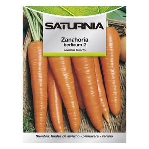 Semi di Carota da Giardino Berlicum (1,5 grammi) - Product Image 1