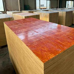 خشب أوكومي كامل 3 مم 4 مم 6 مم 7 مم 10 مم، خشب أوكومي تجاري مغطى بطبقة فيلم للاستخدام في مواقع البناء - Product Image 3