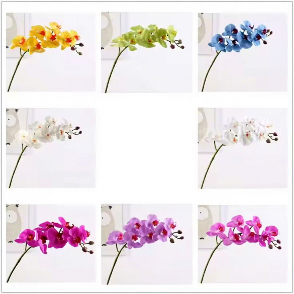 fleur rose, orchidée