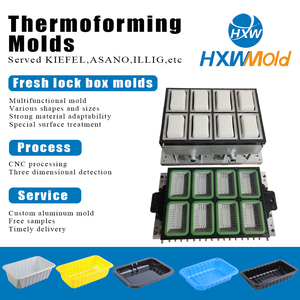 Chuyên nghiệp khuôn nhựa nhà sản xuất đa trạm thermoforming thực phẩm tươi sống khóa Hộp khuôn - Product Image 2