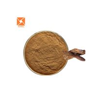 Améliorer la fonction masculine poudre Cynomorium extrait Cynomorium songaricum extrait