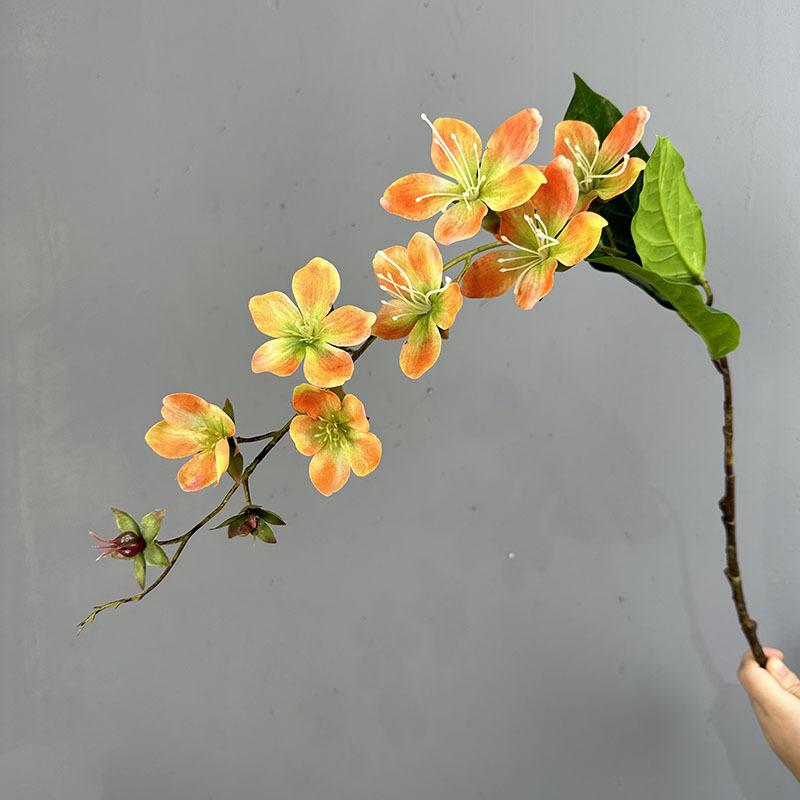 Jasmine orange