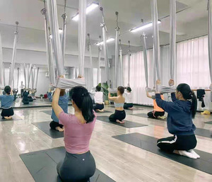 Hamac de yoga <span class=keywords><strong>aérien</strong></span> en tissu de soie nylon de haute qualité en gros à vendre, hamac de yoga <span class=keywords><strong>aérien</strong></span> anti-gravité - Product Image 1