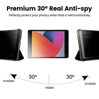 Protector de Pantalla de Vidrio Templado 2.5D Anti-Espía 9H para iPad Pro 11 20-25 Air 13 Pulgadas, Venta al Por Mayor de Fábrica