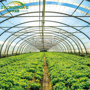Serre tunnel commerciale personnalisée à simple travée, grande taille, <span class=keywords><strong>en</strong></span> film PE anti-UV, avec contrôle de température toute l'année pour la culture de légumes - Product Image 5