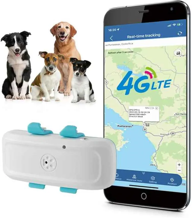 Impermeable 4G TK911Pro Pet collar perro localizador mascota rastreador GPS para mascotas