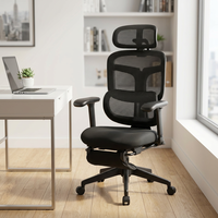 Chaise de bureau ergonomique en maille pour ordinateur, mobilier de bureau moderne en gros pour cadres