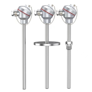 Sonde de température PT100 RTD personnalisable 400mm 500mm avec filetage NPT 1/2 pouce, thermocouple, support OEM/ODM, type PT100 - Product Image 6