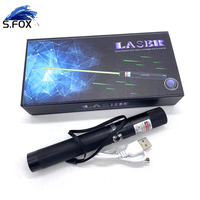 Lampe de poche laser 303 rechargeable USB pour chat