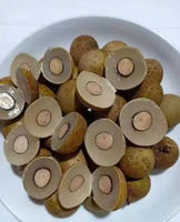 Biologische verse Longan Vietnam Hoge Kwaliteit Natuurlijke Zoetheid 100% Natuurlijk 60 Dagen Houdbaarheid VietGAP GlobalGAP Gecertificeerd Klaar om te eten