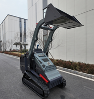 Mini-Radlader mit Kompaktem, Stabilem Hydrauliksystem für Landwirtschaft, Hof, Lager und Materialtransport