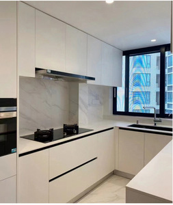 Balom Toàn Bộ Nhà Tùy Biến Dịch Vụ Hiện Đại Phong Cách Hội Đồng Quản Trị Đứng Tủ Bếp Bằng Gỗ Nhà Bếp Với Giá Bán Buôn - Product Image 2