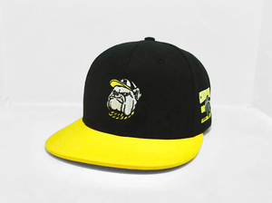 Tùy Chỉnh 6 Bảng Điều Chỉnh Hình Dạng 6606 Hóa Đơn Phẳng Trucker Hat <span class=keywords><strong>Cap</strong></span> Có Cấu Trúc Lưới Trở Lại Snapback Hat 6006 Thể Thao Mũ Bóng Chày Cho Nam Giới Hip Hop - Product Image 2