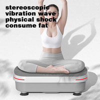 Plaque vibrante de fitness la plus vendue pour massage, perte de graisse, exercice, brûlage des graisses, machine de contrôle du poids, charge maximale 250 kg