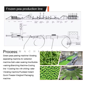 Línea de Procesamiento de Vegetales Congelados para Guisantes, Brócoli y Coliflor - Automática, Acero Inoxidable 304, Capacidad de 300 kg/h - Product Image 4