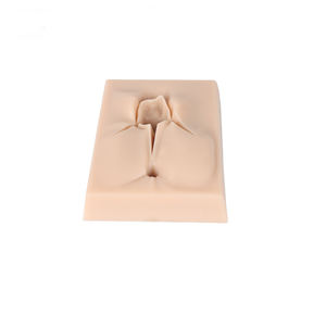 Kit <span class=keywords><strong>de</strong></span> Simulador <span class=keywords><strong>de</strong></span> Sutura <span class=keywords><strong>de</strong></span> Episiotomía Perineal Lateral <span class=keywords><strong>de</strong></span> Vulva <span class=keywords><strong>de</strong></span> Silicona, Modelo <span class=keywords><strong>de</strong></span> Entrenamiento <span class=keywords><strong>de</strong></span> 3 <span class=keywords><strong>Heridas</strong></span> para Ciencias Médicas - Product Image 2